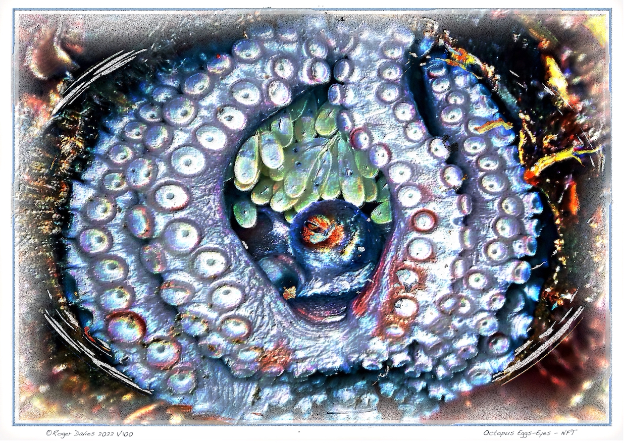 Octopus Eggs-Eyes - NFT